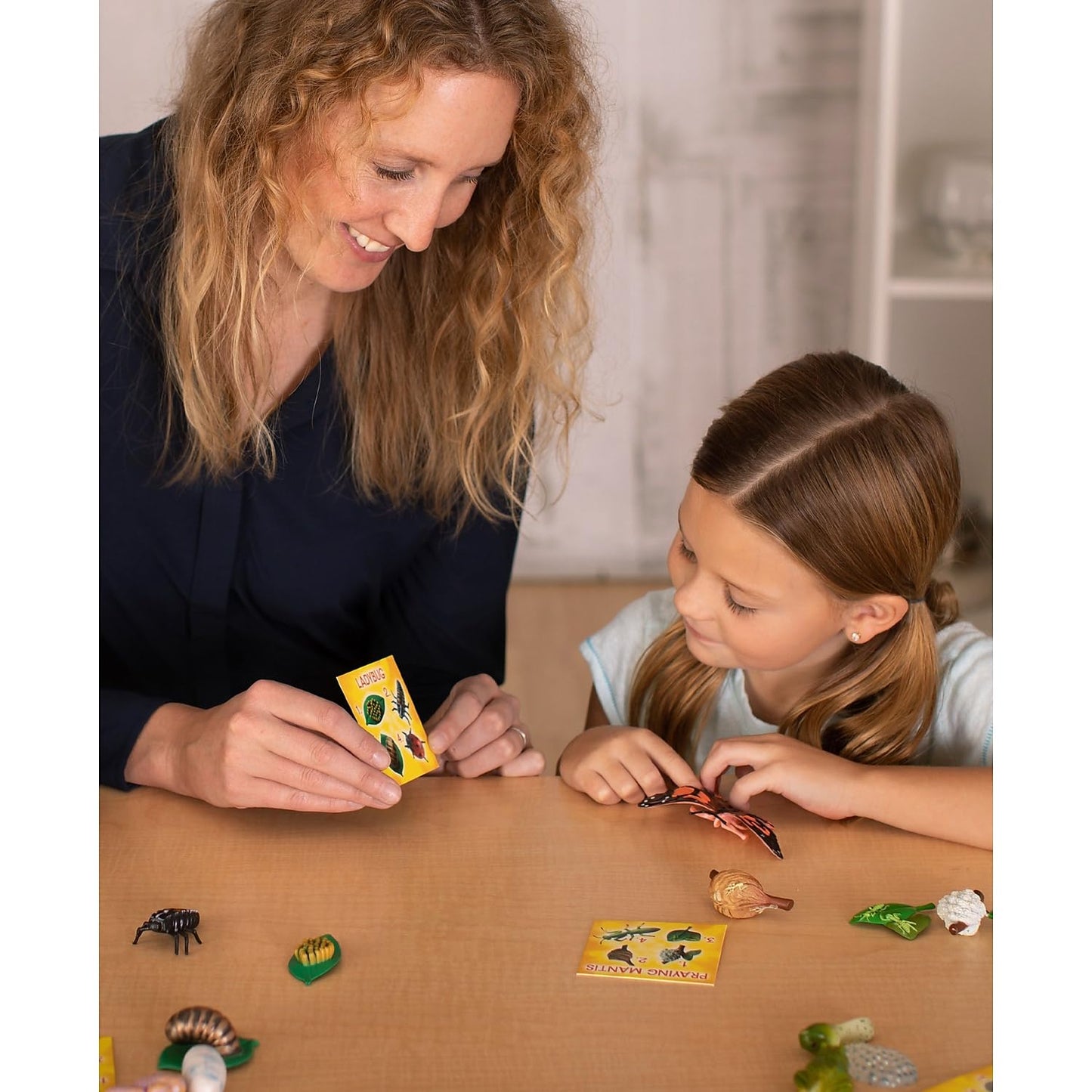 Complete array of twenty four pieces of durable flexible plastic insect models for hands on early biology exploration.