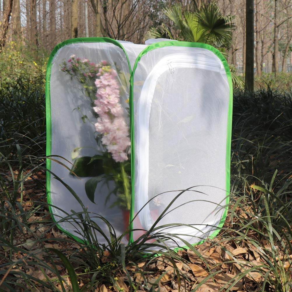 RESTCLOUD monarch butterfly habitat cage standing upright on a flat surface