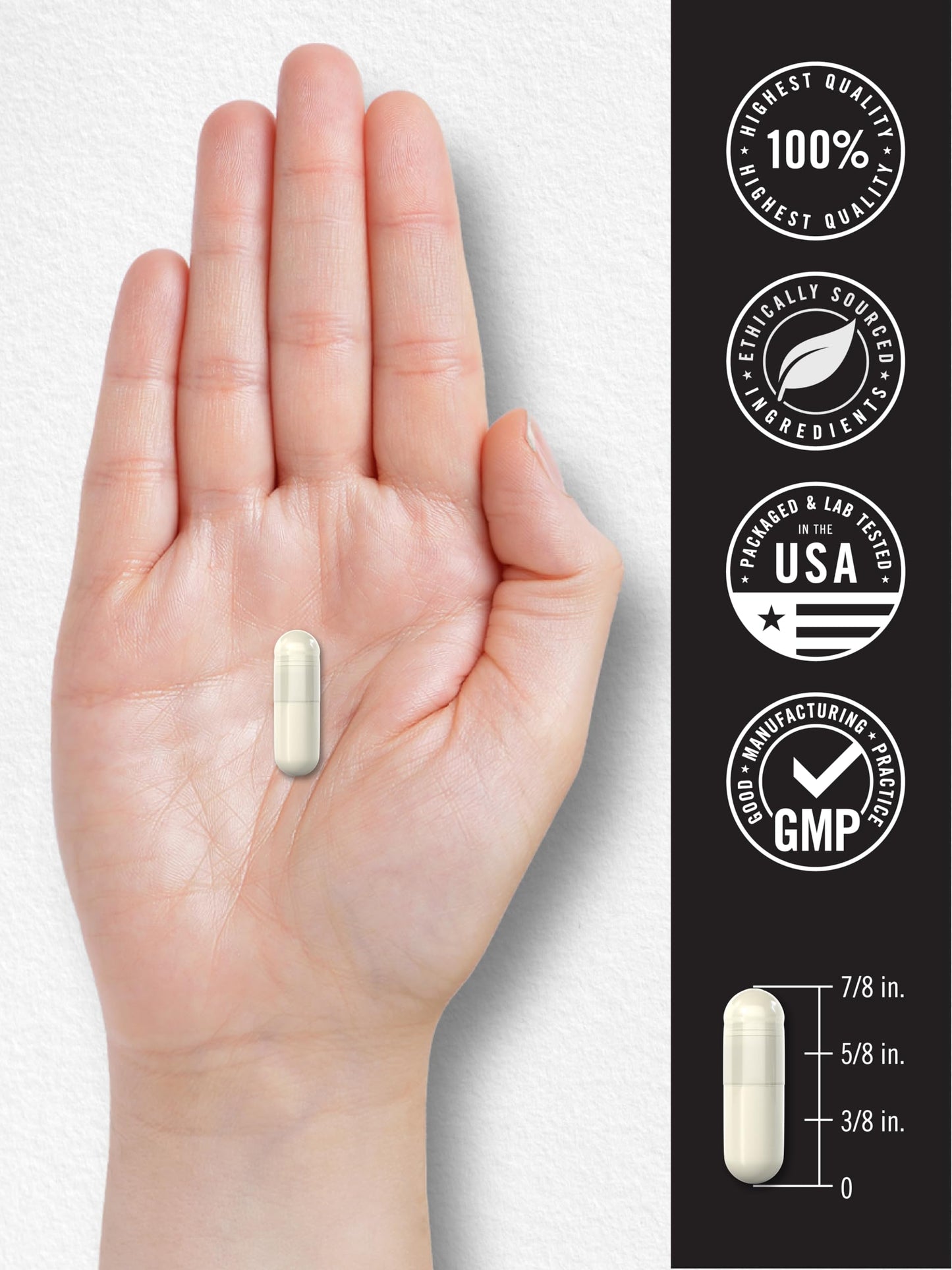 Carlyle Acetyl L-Carnitine HCL 100 capsules container secure base with batch number and expiry date details
