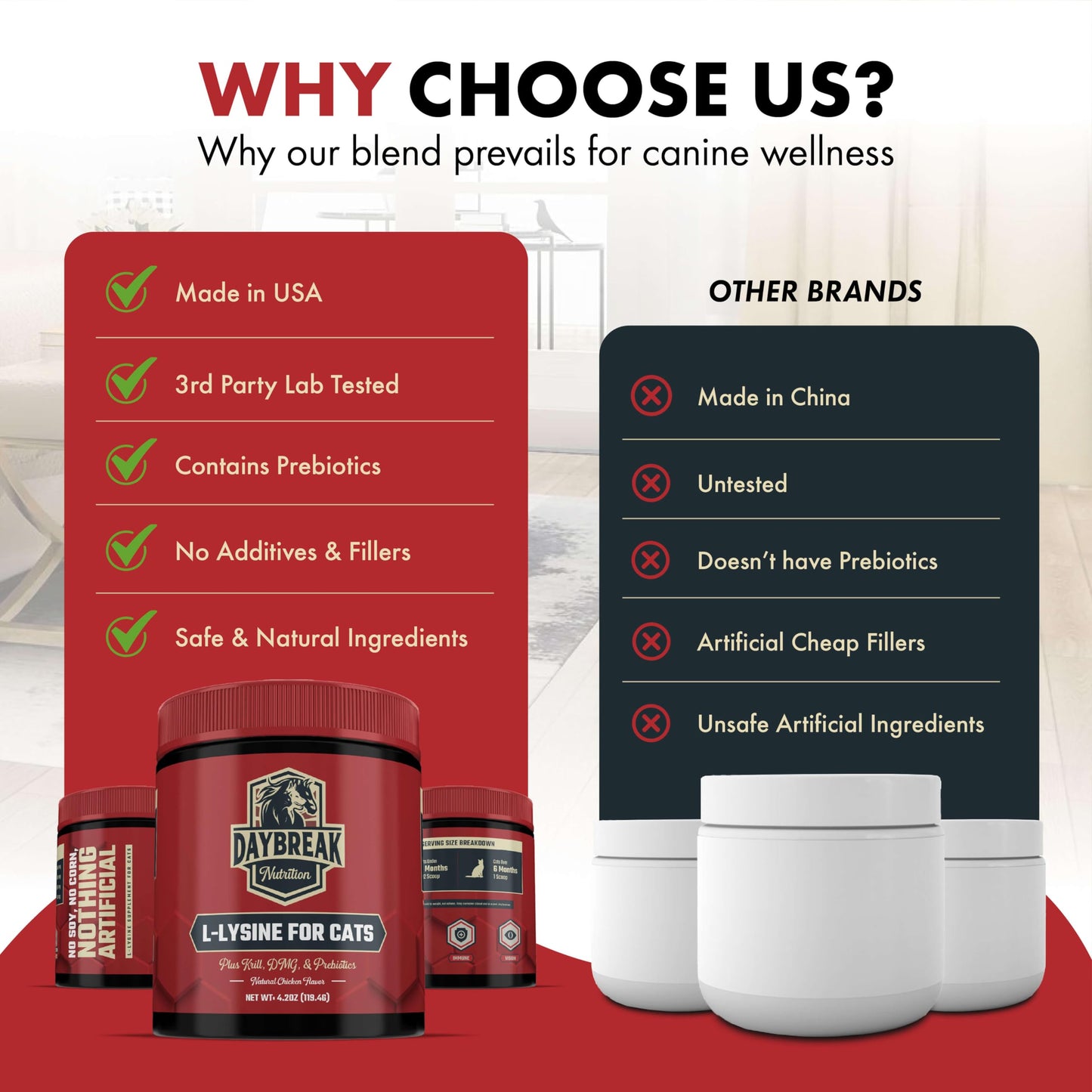 Daybreak Nutrition L-Lysine powder size and packaging