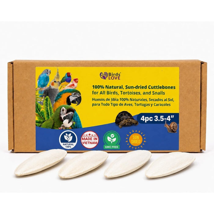 Birds LOVE 3.5-4" Cuttlebone for Birds - 100% Natural Sun-Dried Calcium & Beak Conditioning Supplement for Parakeets, Budgies, Cockatiels, Finches & Canaries - 4 Pack with Holder - Made in Vietnam