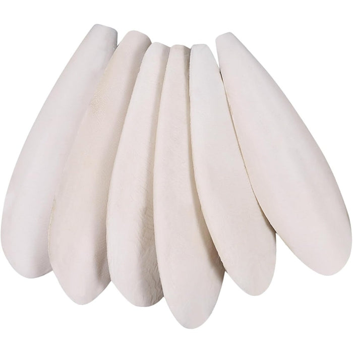Cuttlebone for Birds 6 Pcs Large Natural Cuttlefish Bone for Parakeets
