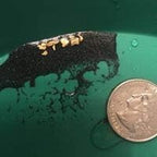 Panning process showing black sand and gold separation