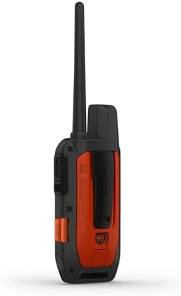 Close up view of the Alpha TT25 collar orange strap and beacon.