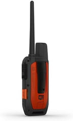 Close up view of the Alpha TT25 collar orange strap and beacon.