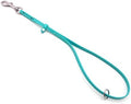 Close up of metal ring on Groomerspro Jelly Pet teal grooming loop