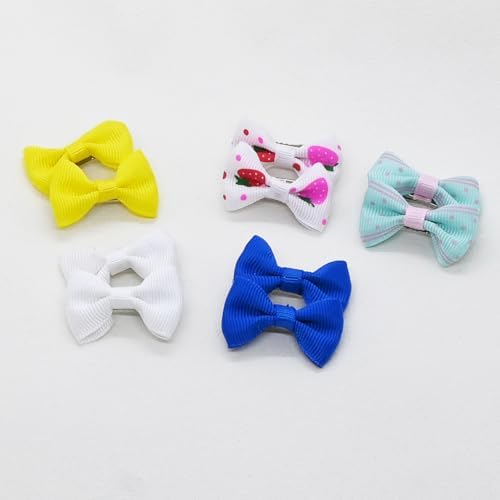 Pet grooming accessories collection for small animals