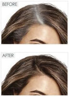 Naturtint 2-in-1 hair and eyebrow touch-up product