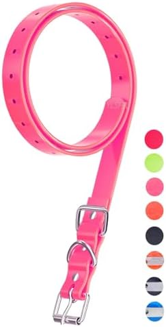 Etpet waterproof collar strap showing stainless steel buckle