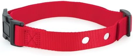 Close up of PetSafe replacement collar strap with 2 holes