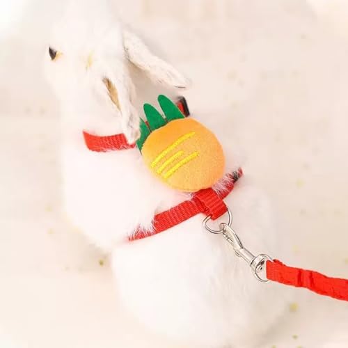 ABSOK cute vest harness and leash kit showing the pink and red color variants for multi pet owners.
