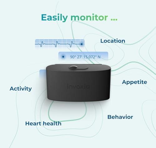Close up of Invoxia Minitailz tracker black and blue design