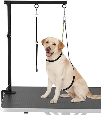 Artibear pet grooming arm showing table clamp mechanism