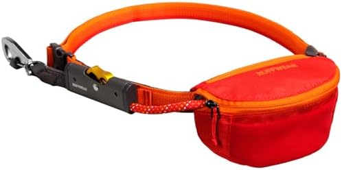 Adjustable hands free dog tether system wrapped around a tree trunk during camping.