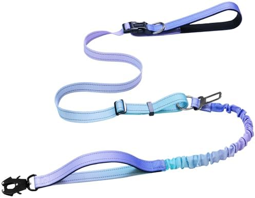 Aurora purple bungee dog leash with waist belt