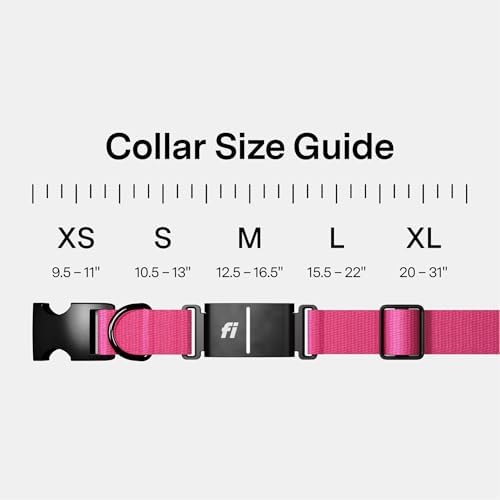 Packaging layout of the imported pink Fi smart dog collar with the included twelve month membership details.
