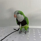 Barn Eleven fleece bird harness vest breathable design