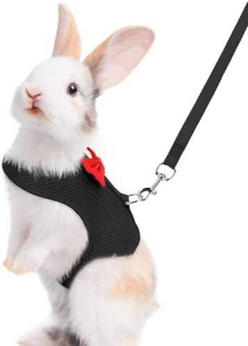 PSPORT breathable mesh bunny vest harness laid flat with matching black leash