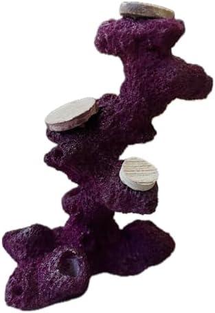 Weighted base view of the Ocean Aquaria reef aquarium coral cultivation tree accessory