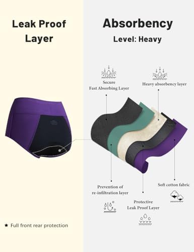 Molasus menstrual protective underwear pack displaying front and rear reinforced seams