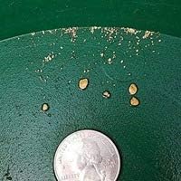 Educational gold prospecting kit for home use