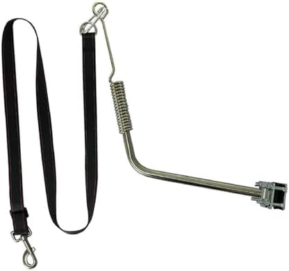 Hands free bicycle pet leash attachment with shock absorbing spring and frame clamp
