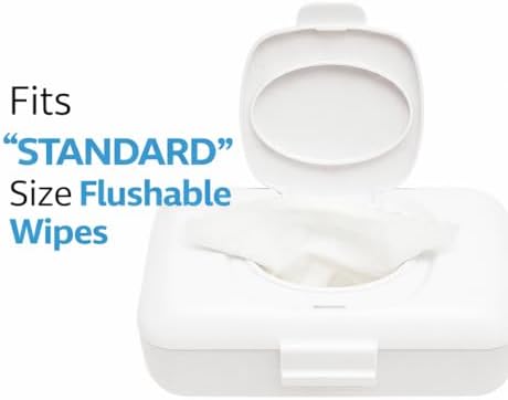 Loo wipe dispenser mounted on a toilet tank