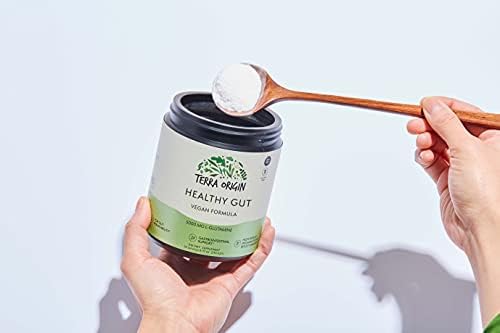 Terra Origin Healthy Gut dietary supplement lifestyle and usage view