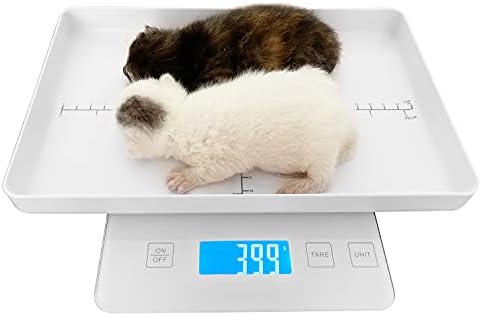 Mindpet-Med whelping scale displaying a precise weight readout on the clear backlit LCD screen