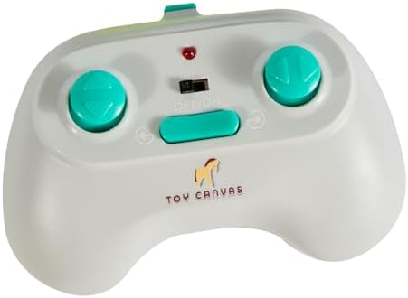 Packaging for ToyCanvas remote control robotic gecko