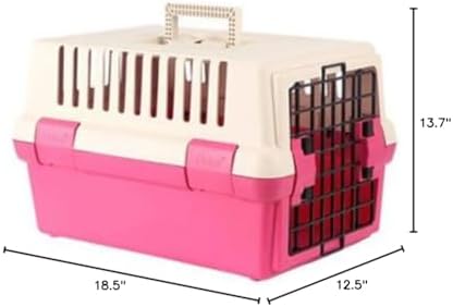 Alpha Dog Series portable pet transport box isolated on studio background