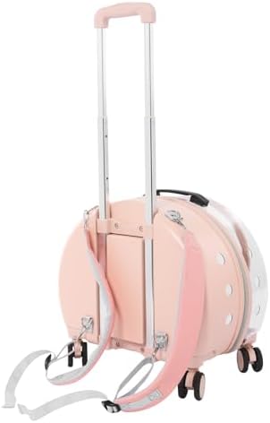 A small dog sitting inside the clear panoramic bubble pet trolley container