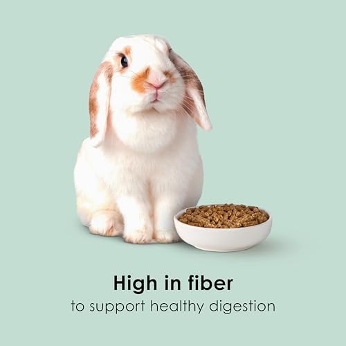 Kaytee rabbit food packaging size comparison