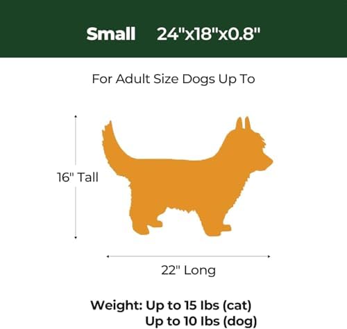 BALANCE machine washable small pet bed cushion after a clean wash cycle