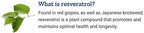 Life Extension Optimized Resveratrol high potency formula display