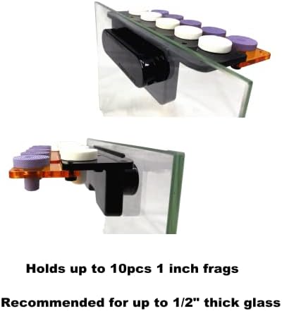 Reefing Art professional reef aquascaping magnetic rack back view highlighting magnet bar