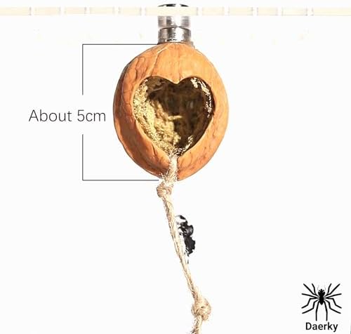 Jumping Spider Hide, A Real Shelter Made of Walnut Skin, Magnetic Hidden Jumping Spider Habitat,Handmade Spider Enclosure Accessories, Jumping Spider Enclosure - Image 3