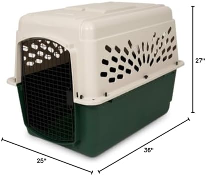 Petmate Ruffmaxx durable dog transport crate perspective angle view