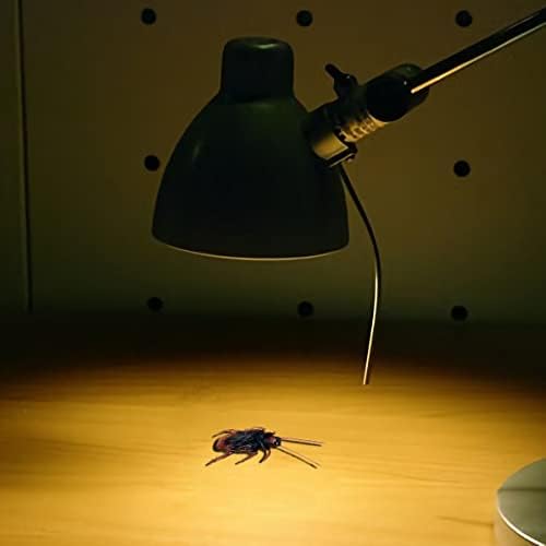 Spooky Halloween decoration setup incorporating LIFE BETTER realistic fake cockroaches on a table setting