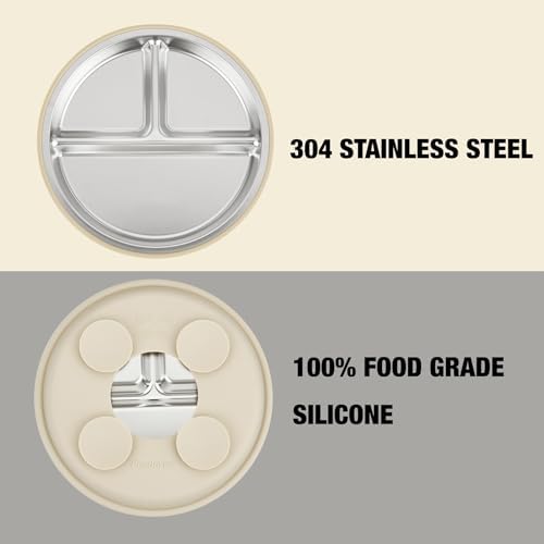 Top view of PandaEar divided metal plate for baby led weaning