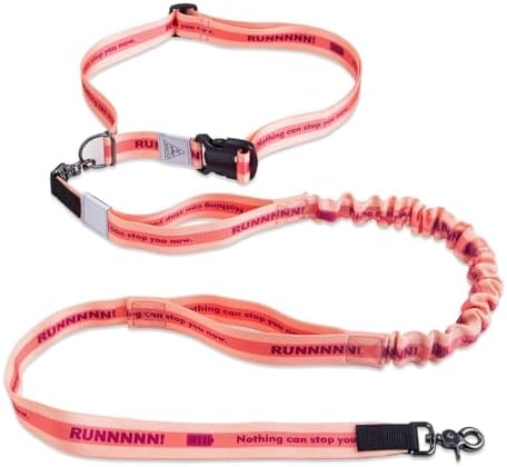 JC House dog leash bungee attachment for jogging