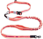 JC House dog leash bungee attachment for jogging