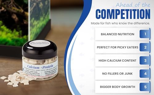Aquatic shrimp eating Katsaquatics protein supplement