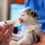 Newborn small animal feeding kit being used to safely nurse an orphaned kitten