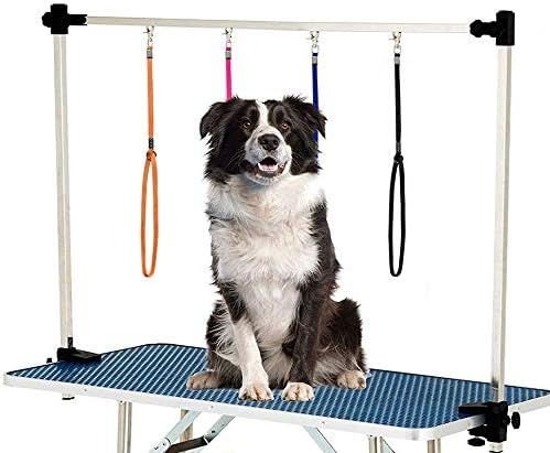 Close up of adjustable cylindrical buckle on nylon leash