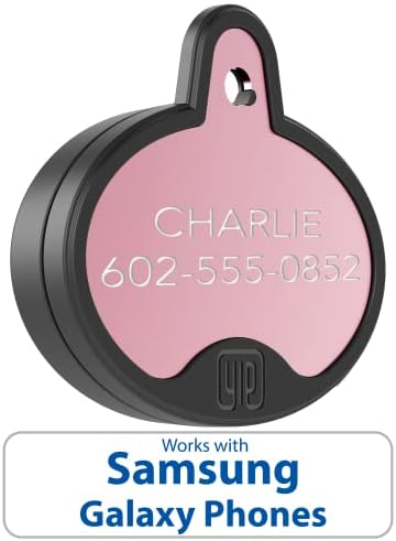 YIP Smart Tag oval rose gold pet ID attached to a dog collar