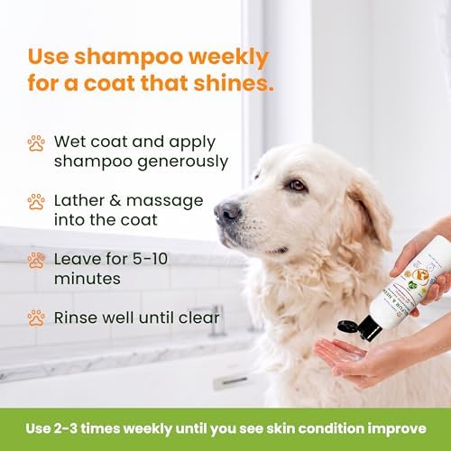 Lathering Healthy Paw Life restorative shampoo on dog coat