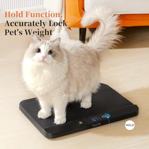 YauYik automatic hold function scale tracking weight of a moving puppy.
