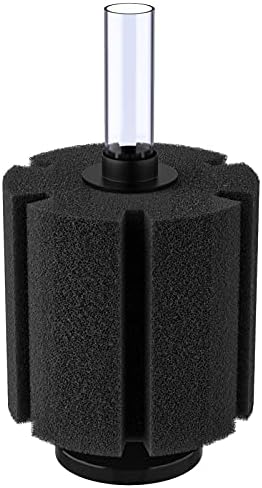 Pawfly foam filter showing multi grooved texture
