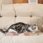 Spacious wide profile design of the premium indoor feline claw sharpener